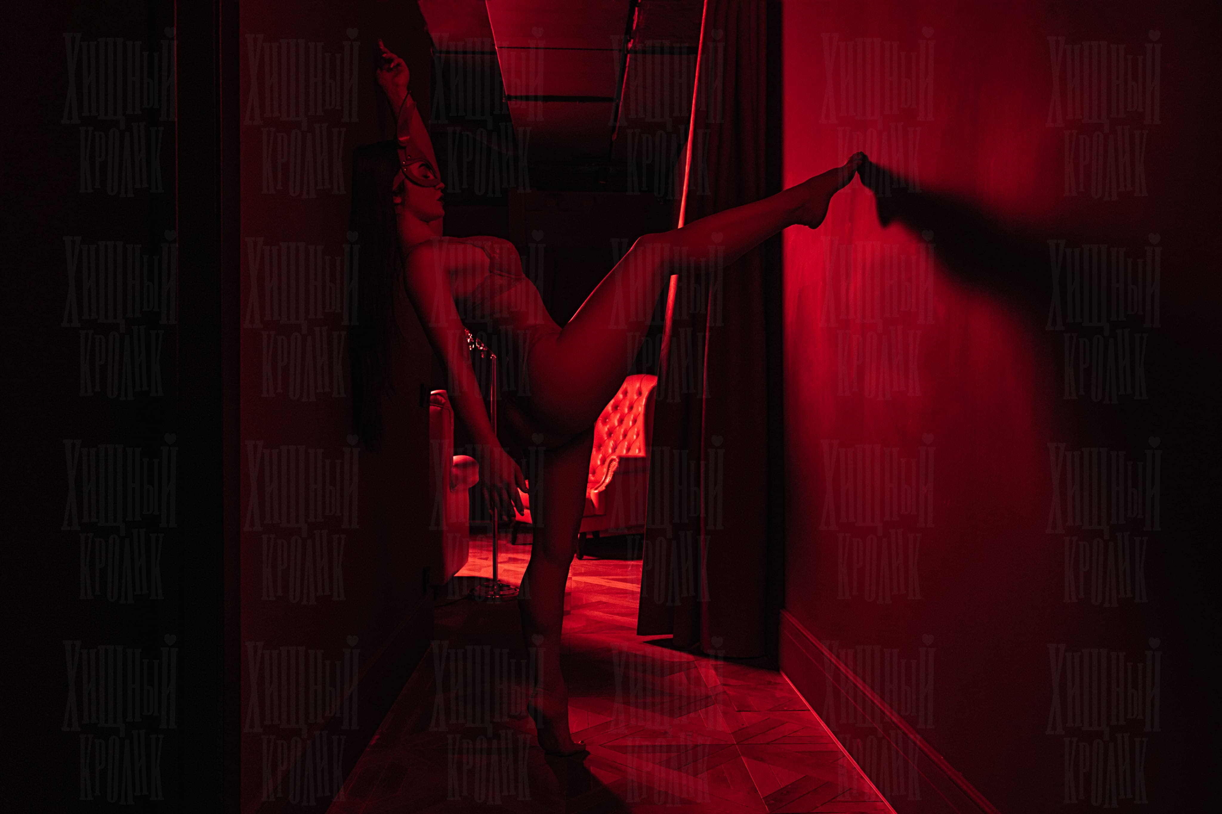 Интерьер клуба Хищный кролик фото 5